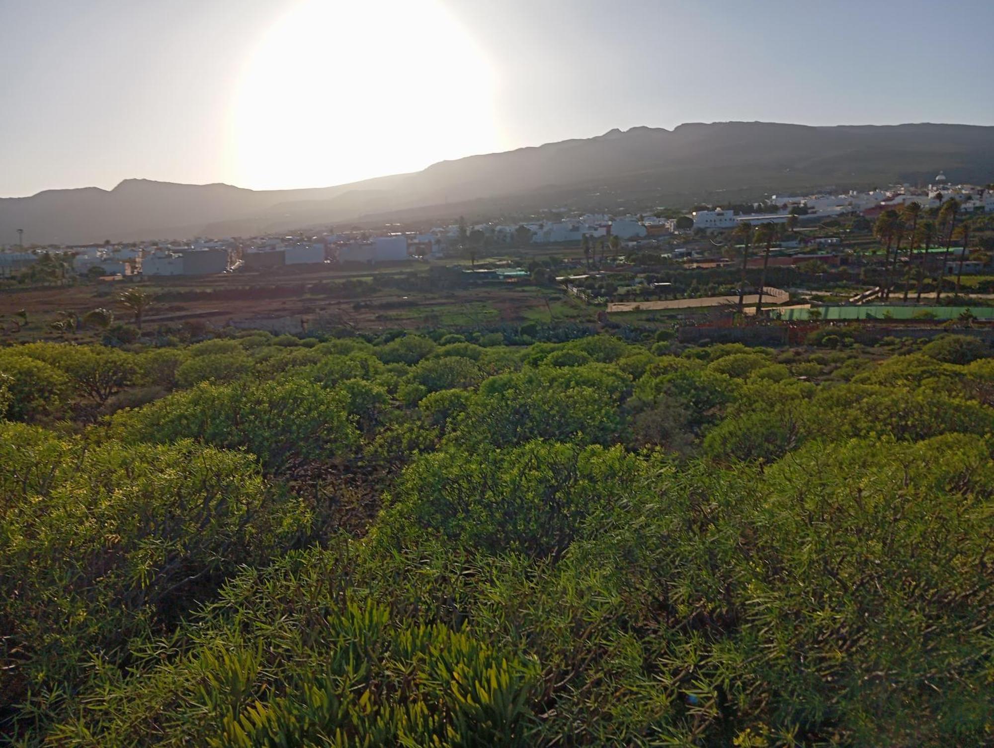 Casa Grande Finca El Calabres Agüimes Exteriör bild